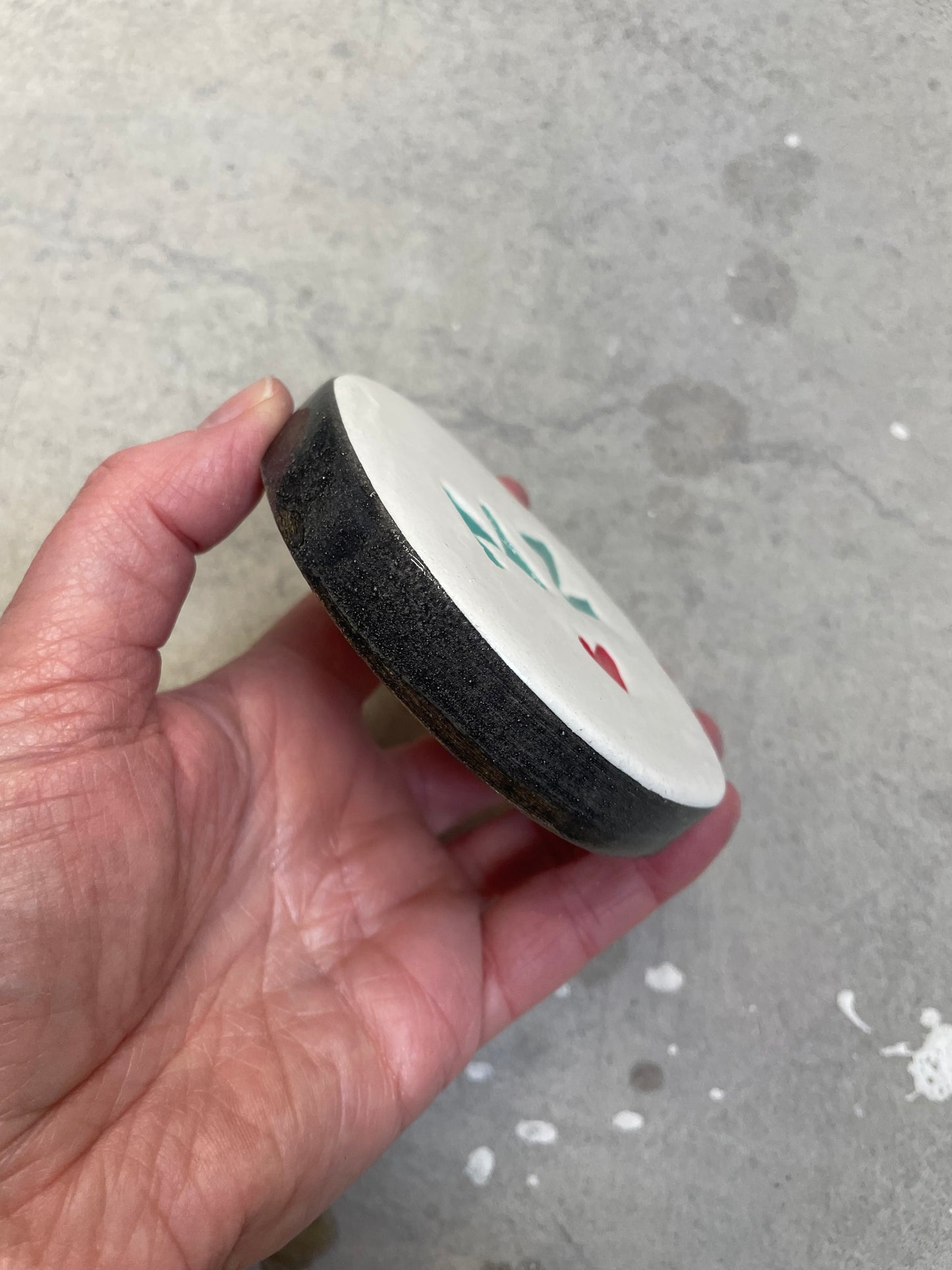 NZ disc